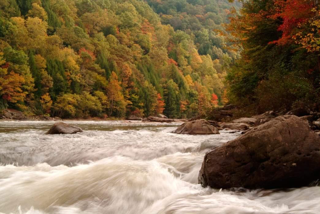 Gauley River - Fishing - HOOK 360°