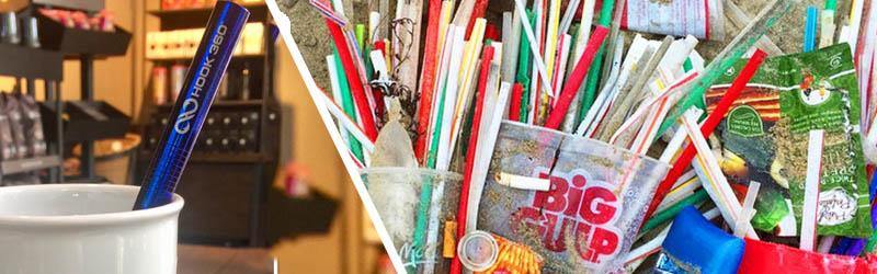 Plastic vs. Stainless Steel Straws