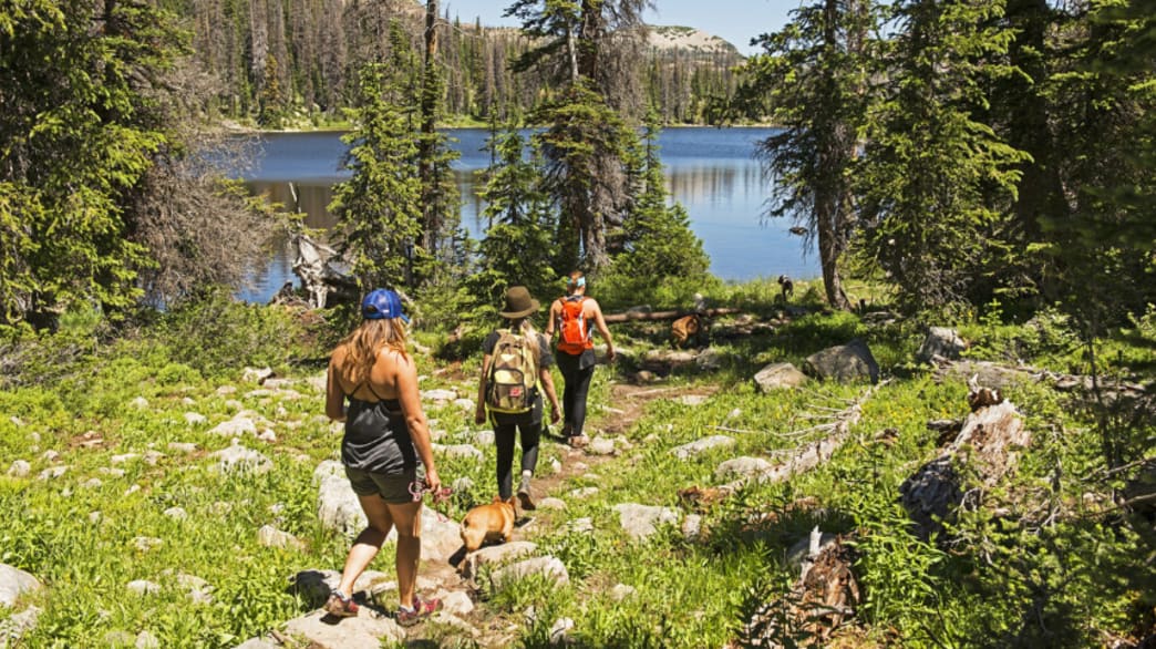 9 Fun Activities to Do with the Kids in Park City, Utah