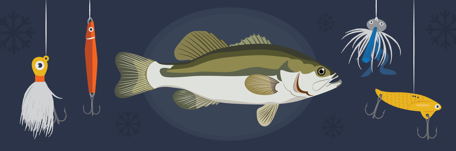 Winter Bass Fishing Tips - HOOK 360°